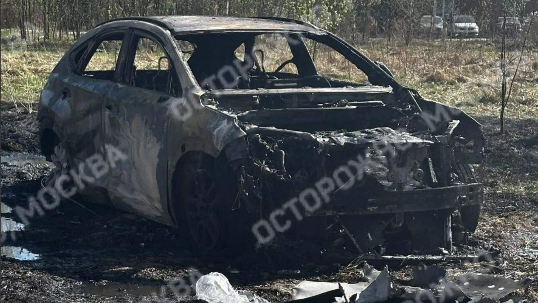 Несколько автомобилей сгорели из-за непотушенного мангала в Подольске