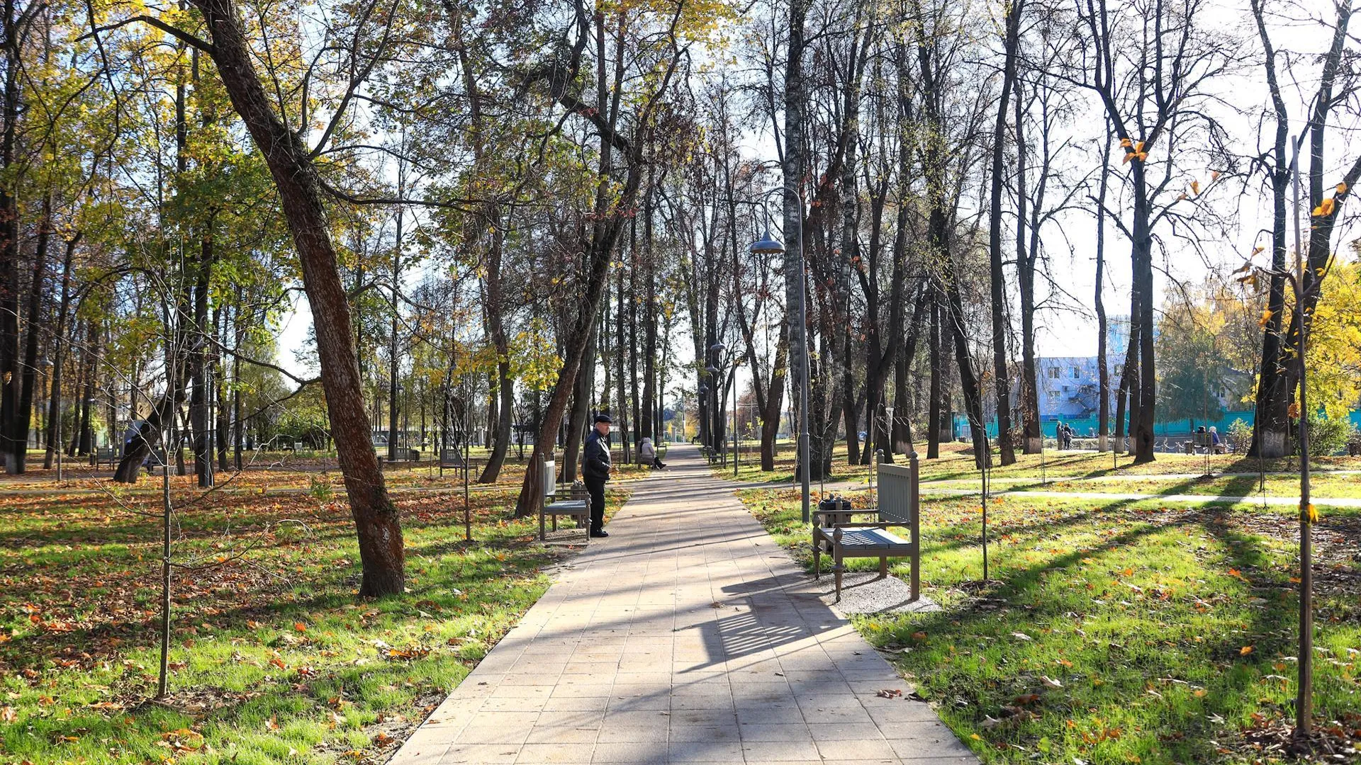 Центральный парк Лыткарина посетили 26 тыс человек за неделю