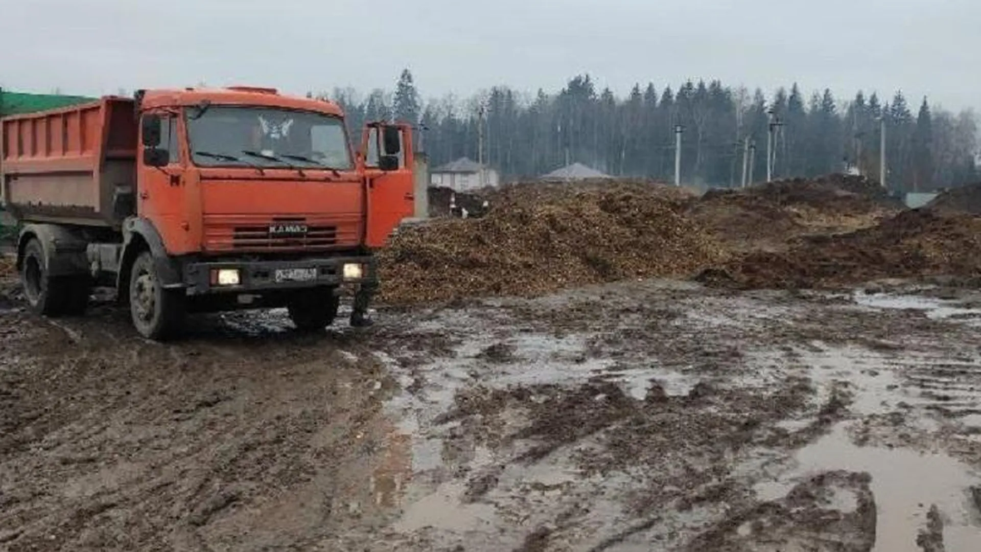 Нарушители в Истре и Ленинском округе оштрафованы за незаконный сброс отходов