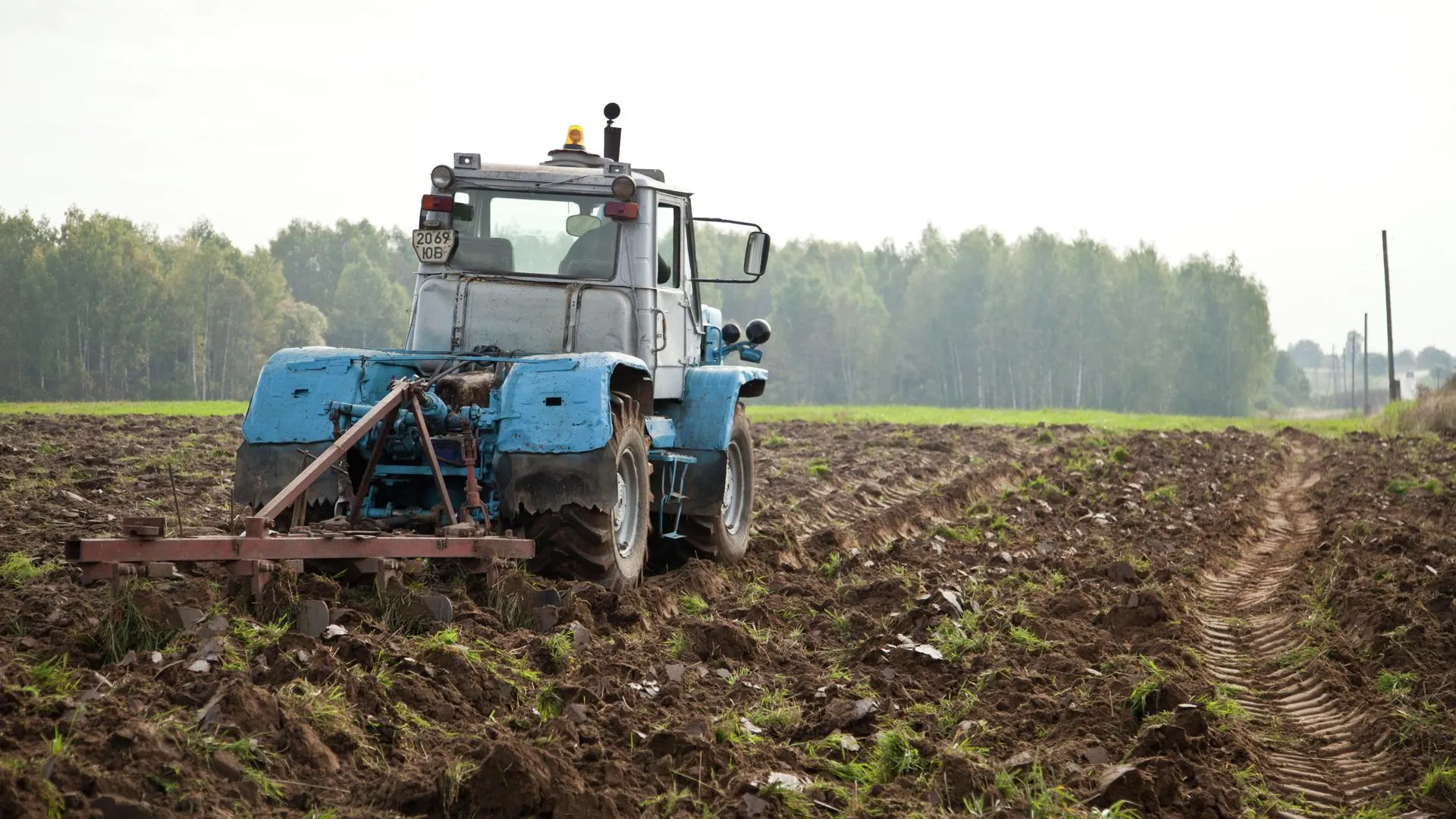 Более 23 тыс гектар земли предоставили сельхозпроизводителям за 2,5 года в Подмосковье