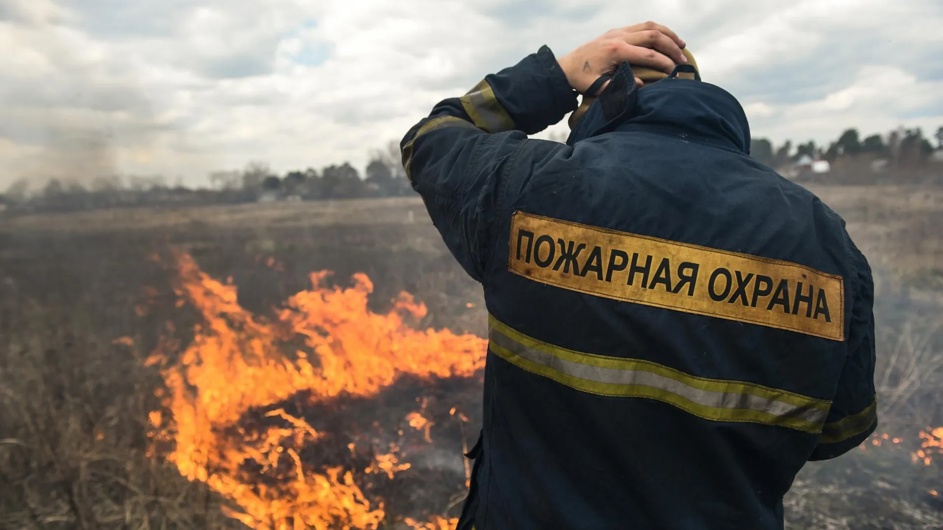 Более 6 тысяч возгораний сухой травы зафиксировали в Подмосковье с начала весны