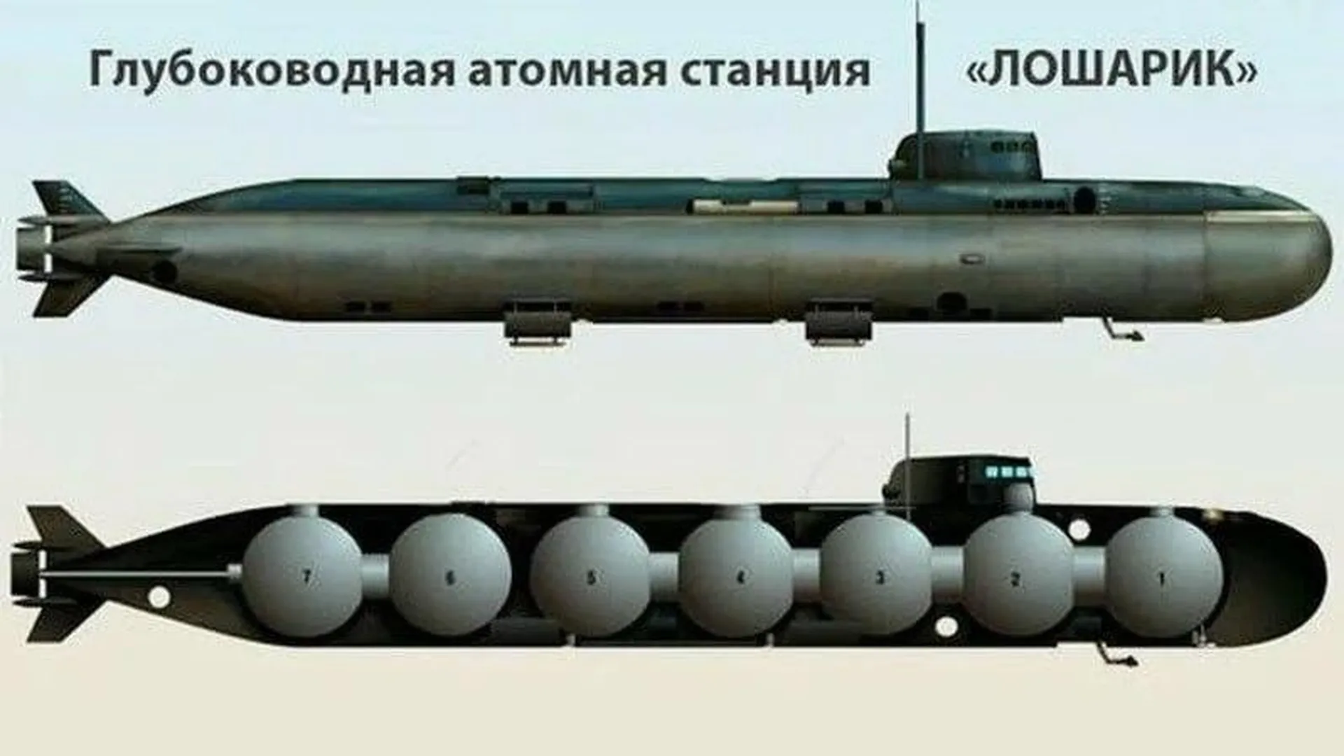 Ас 31 лошарик