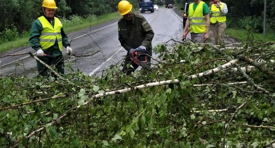 Сотрудники Комлесхоза Подмосковья помогают жителям после урагана