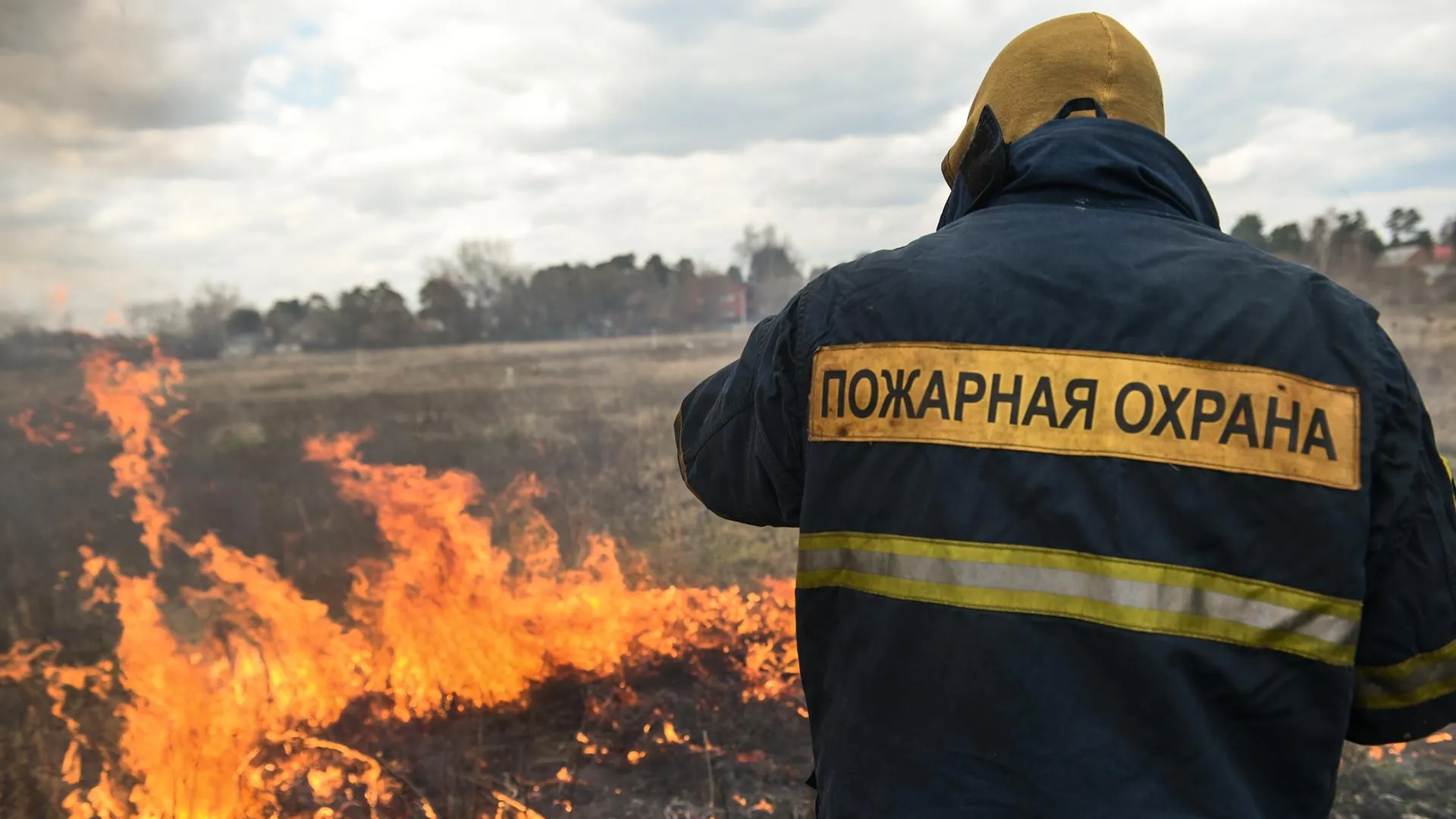 Николай Корешков