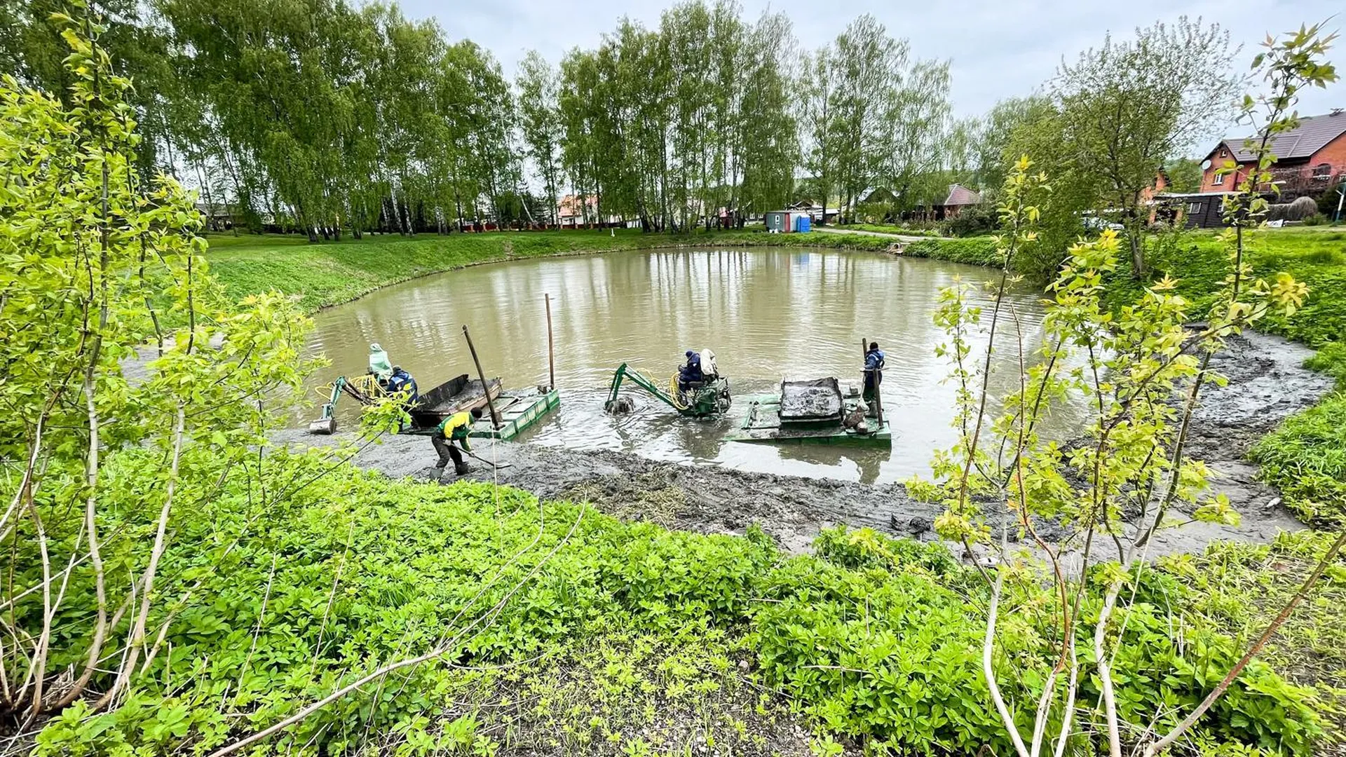Два пруда в Дмитровском округе очистят по губернаторской программе в этом году