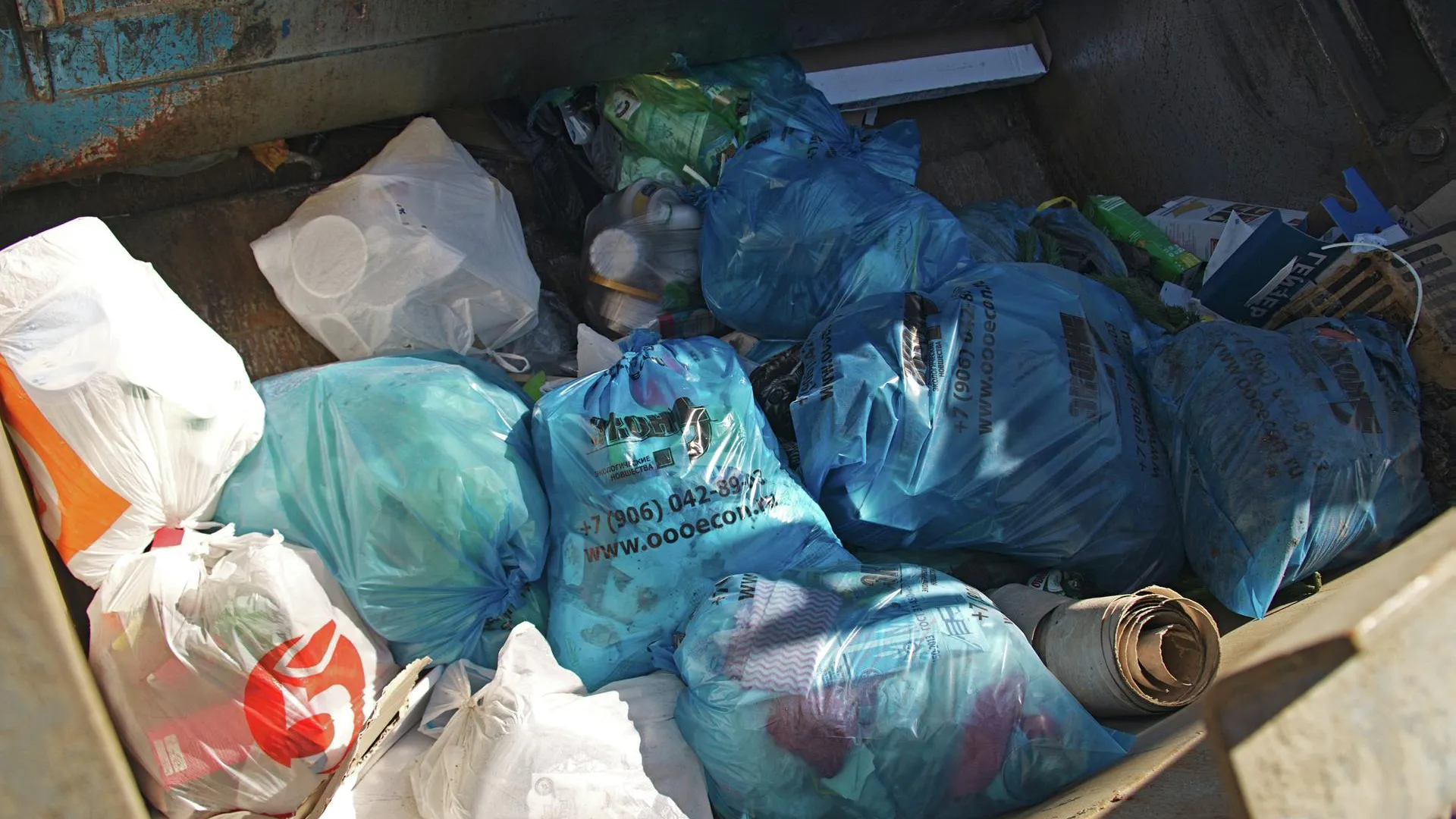 Более 2 тыс кубометров мусора убрали с дорог Подмосковья за 3 дня
