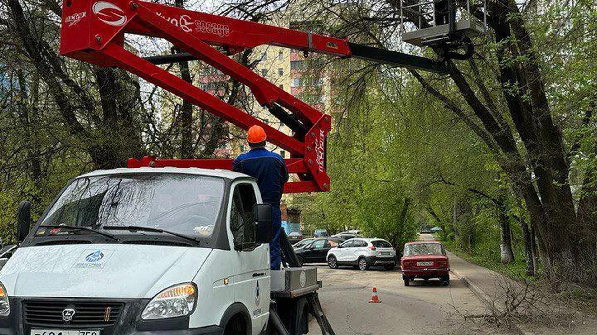 Более 2,5 тыс сухостойных и аварийных деревьев удалили в Подмосковье в апреле