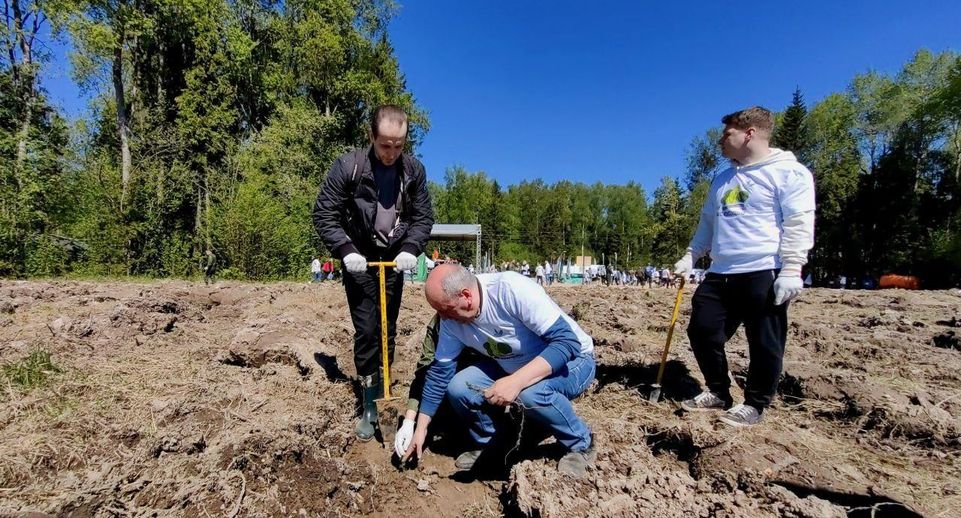 Подмосковное министерство ЖКХ приняло участие в экоакции «Лес будущего»