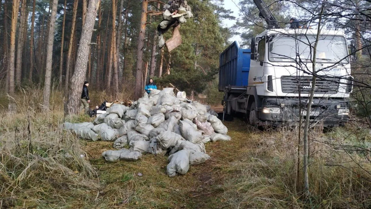 Более 30 новых навалов мусора нашли на лесных участках Подмосковья с начала года