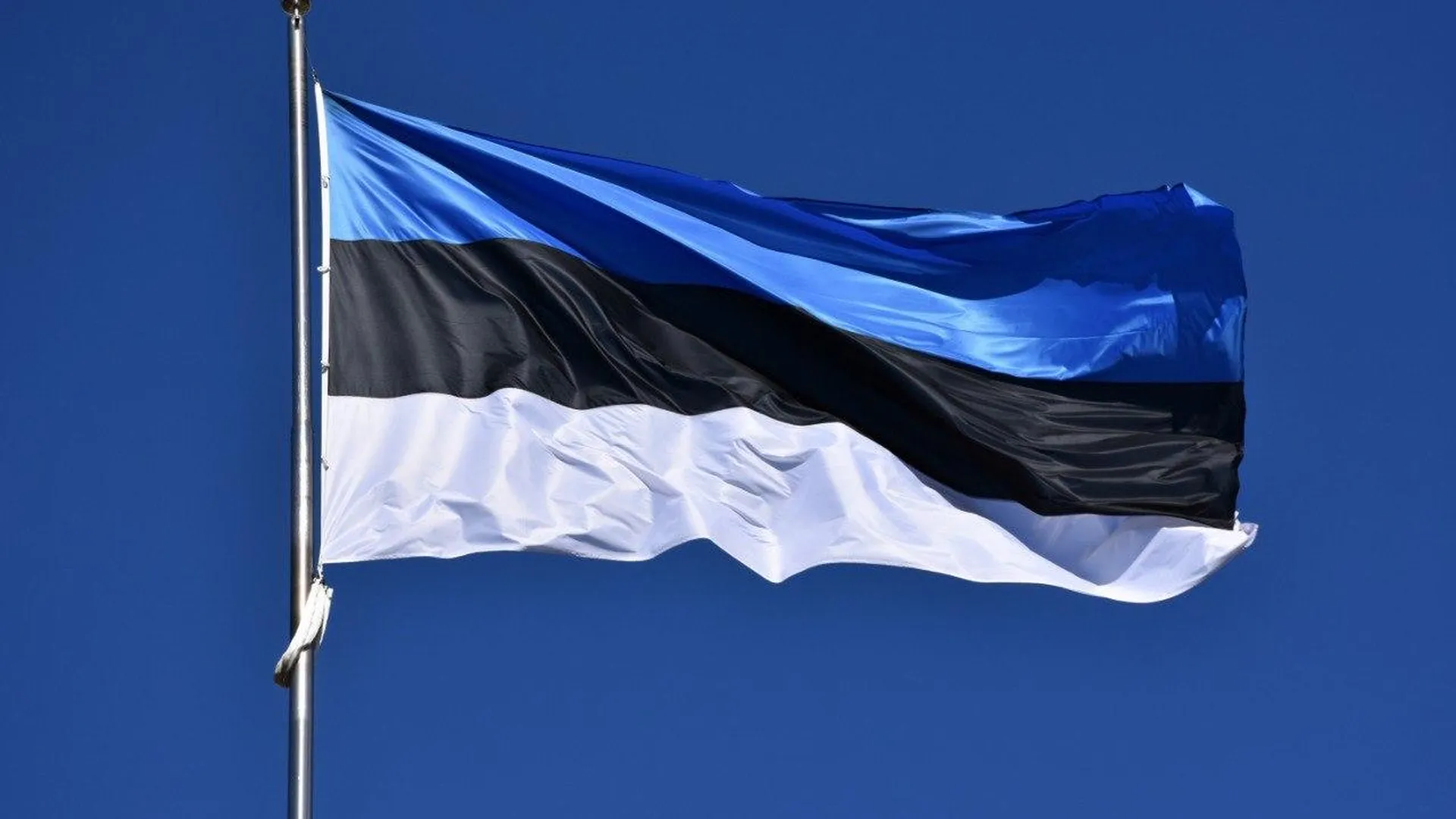 В Эстонии признали законными требования РФ по замороженным активам