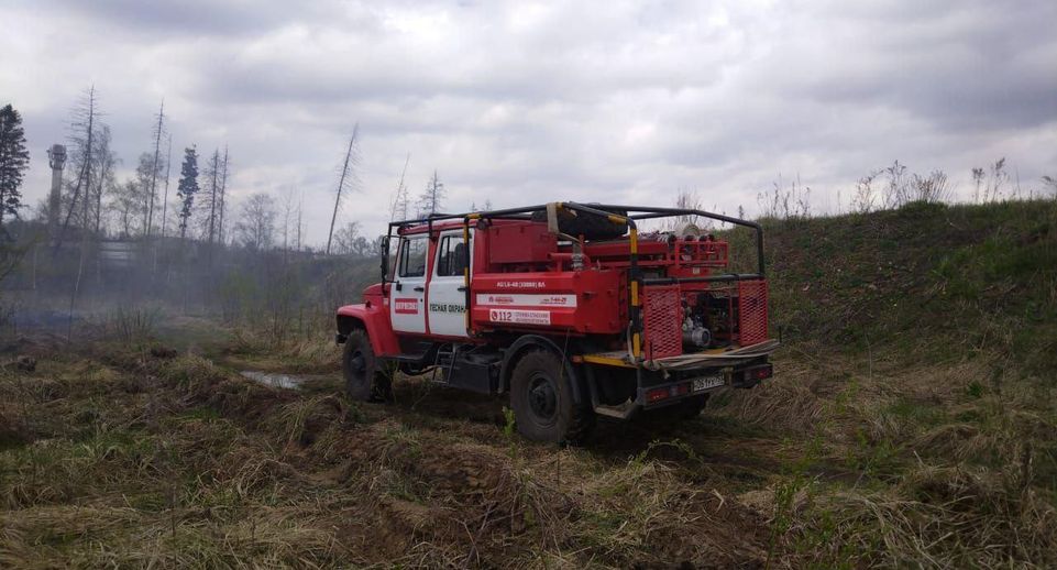 Лесной пожар ликвидировали в Химках