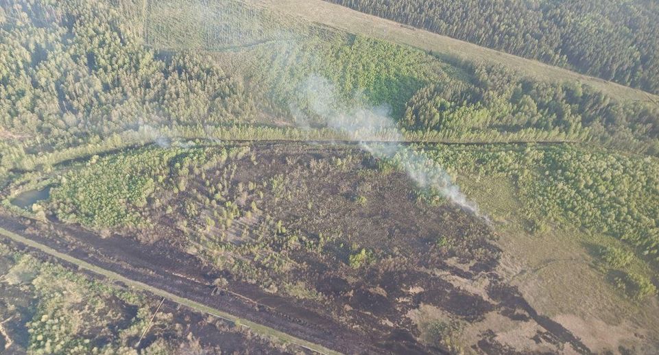 Воздушный патруль контролирует пожарную обстановку в лесах Подмосковья