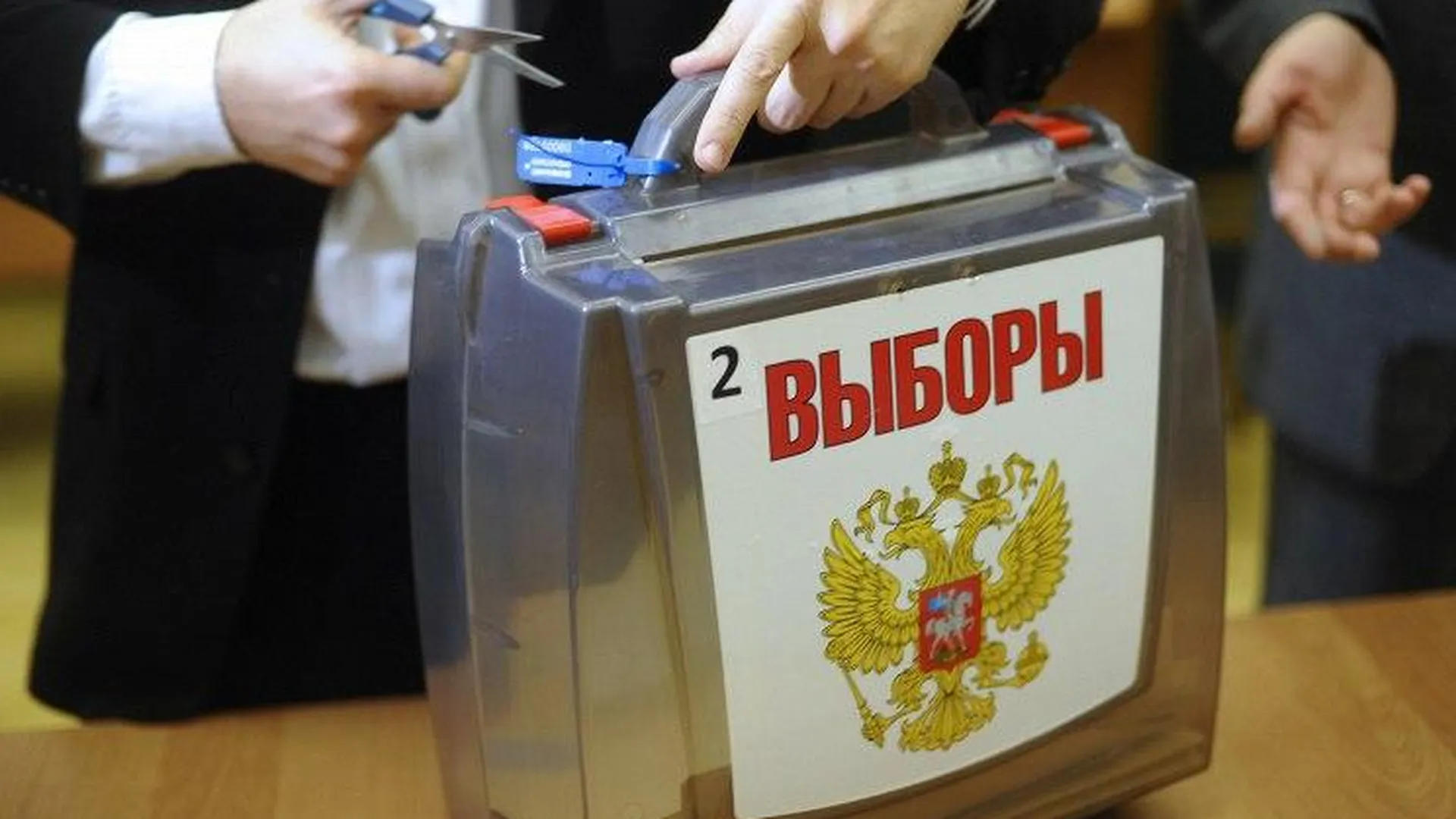 Центр наблюдения поможет избежать конфликтов на избирательных участках в Подмосковье