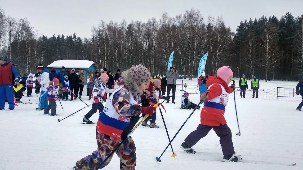 Лыжня Здоровья» на призы чемпиона Паралимпийских игр Романа Петушкова  прошла в Дмитрове | РИАМО