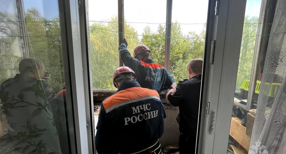 Опубликованы кадры спасения собаки, которая двое суток выла на балконе в Москве