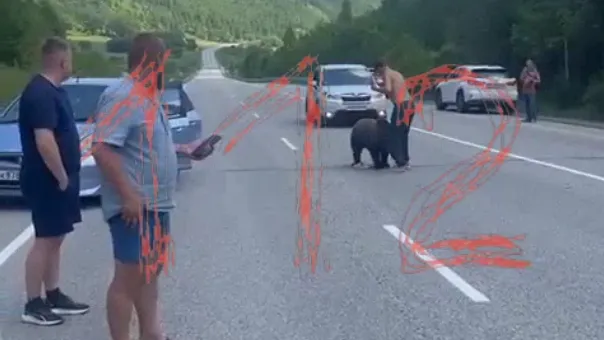 Медведь хотел отобрать обувь у мужчины во время селфи в Прибайкалье