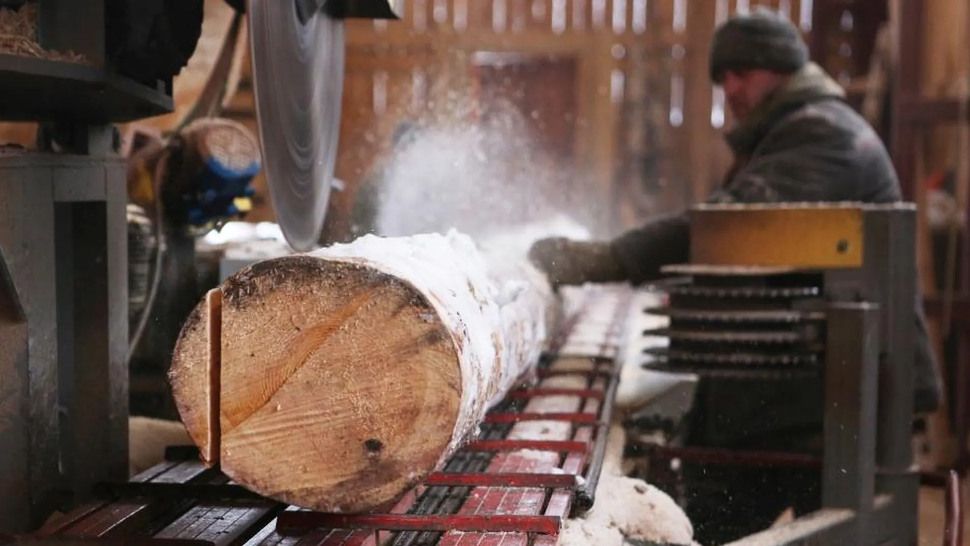 Экономист Данильцев спрогнозировал рост экспорта российской древесины в 2024 г