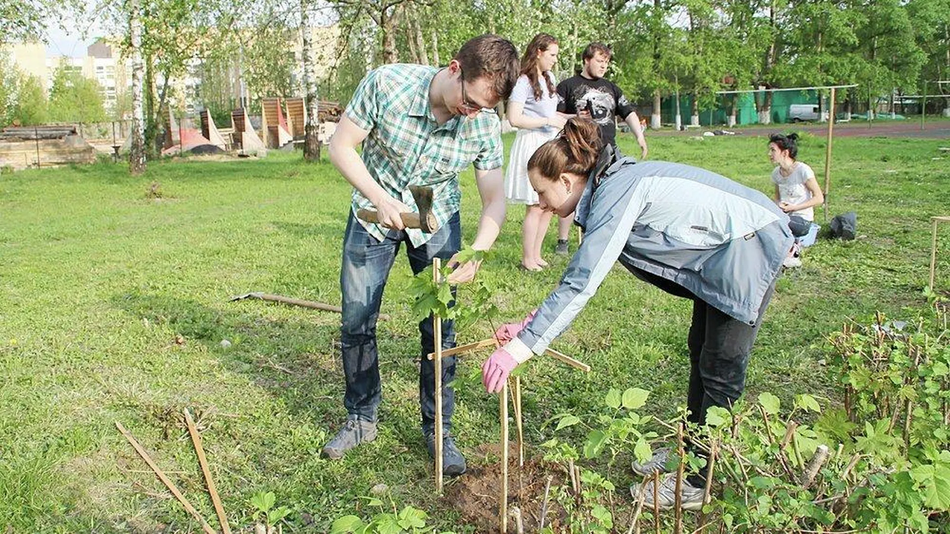 Дополнительные деревья и кустарники высадят в Москве при реконструкции промзон