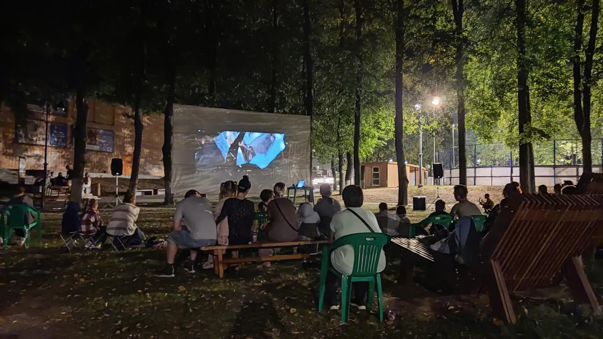 В Зарайском парке пройдет Всероссийская акция «Ночь кино»