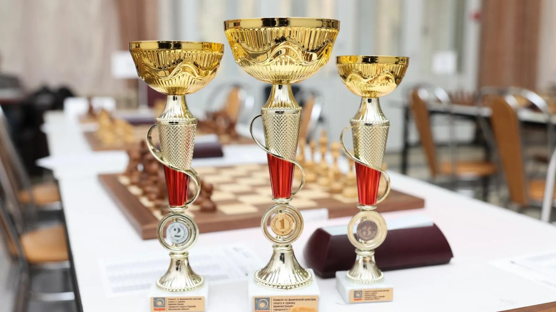 В Королеве стартовал финал областных соревнований по шахматам «Белая ладья»