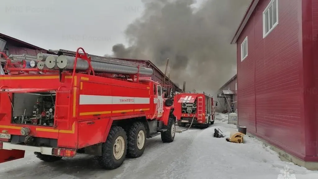 Открытое горение ликвидировали на заводе ООО «Молирен» в Шатуре